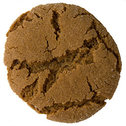 Photograph of a Ginger Snap Cookie